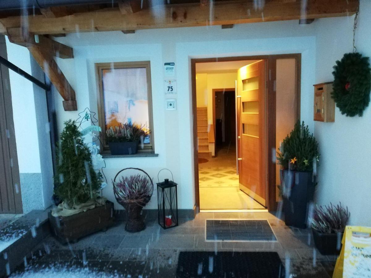 Apartment Ciasa Wallis *