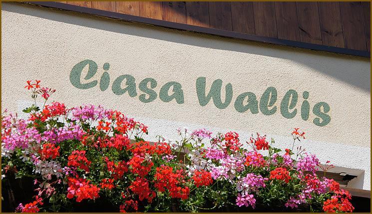 Apartment Ciasa Wallis